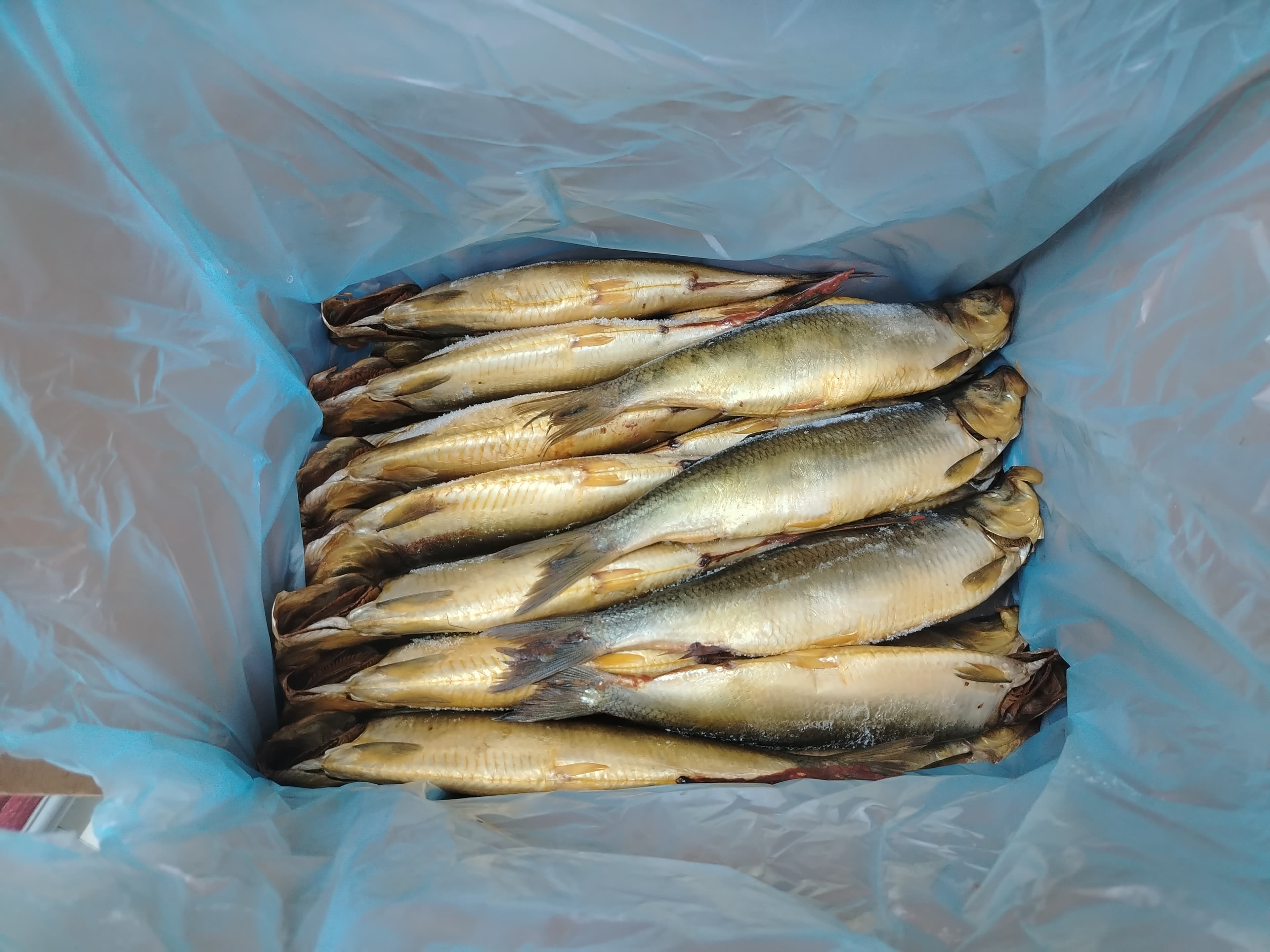 رنجة ابو السيد